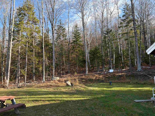 103 Bear Hill Road West, Ludlow, VT 05149