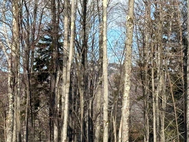 103 Bear Hill Road West, Ludlow, VT 05149