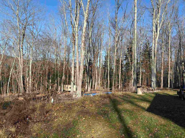 103 Bear Hill Road West, Ludlow, VT 05149