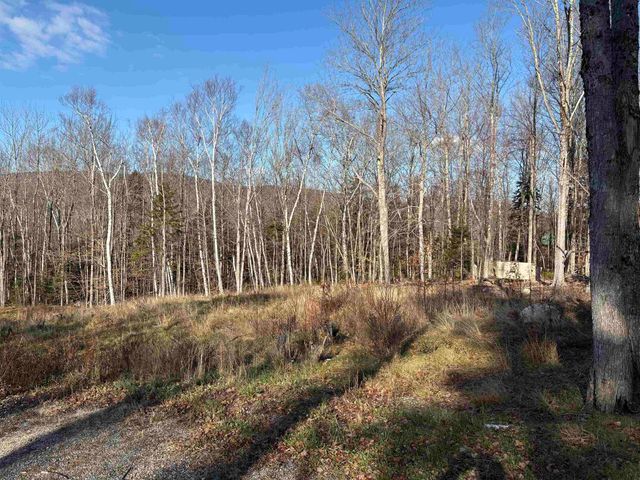 103 Bear Hill Road West, Ludlow, VT 05149