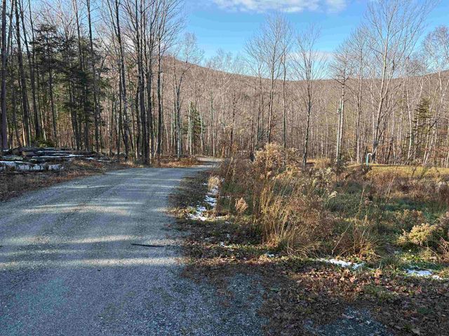 103 Bear Hill Road West, Ludlow, VT 05149