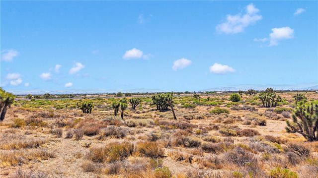 0 Beaver Avenue, Phelan, CA 92371