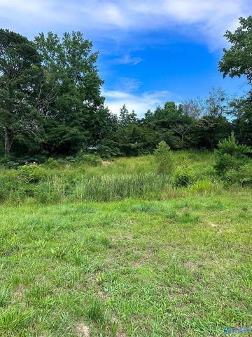 6328 County Road 1223, Falkville, AL 35620