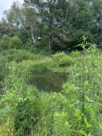 6328 County Road 1223, Falkville, AL 35620