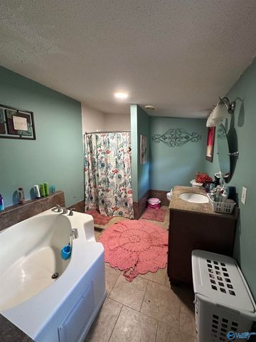 6328 County Road 1223, Falkville, AL 35620