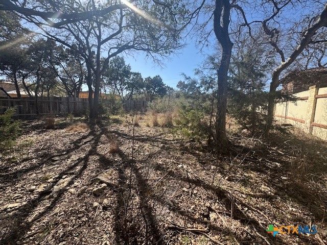 323 Thunderhead Street, Spring Branch, TX 78070