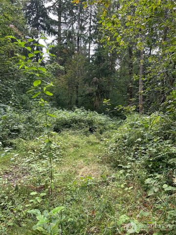 13863 351st Avenue NE, Duvall, WA 98019