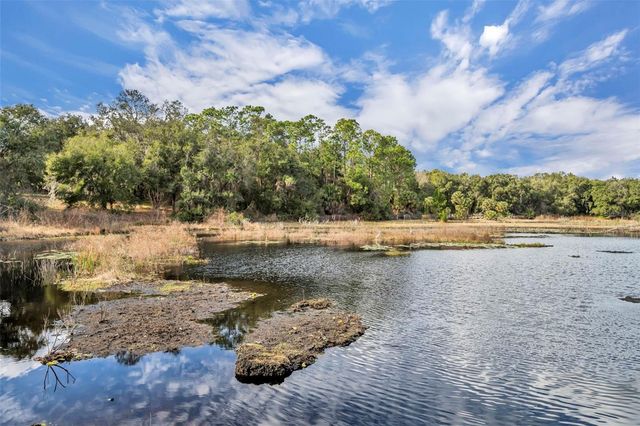 24751 SE HIGHWAY 450, Umatilla, FL 32784