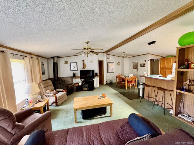 70 Bonnie Brook Road, Roscoe, NY 12776