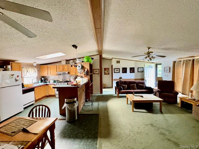 70 Bonnie Brook Road, Roscoe, NY 12776