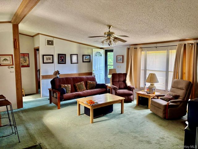 70 Bonnie Brook Road, Roscoe, NY 12776