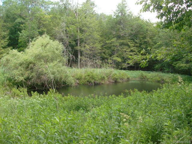 70 Bonnie Brook Road, Roscoe, NY 12776