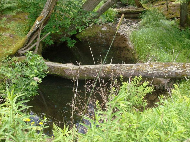 70 Bonnie Brook Road, Roscoe, NY 12776