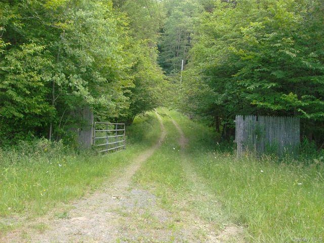 70 Bonnie Brook Road, Roscoe, NY 12776