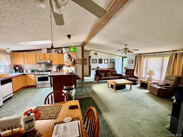70 Bonnie Brook Road, Roscoe, NY 12776