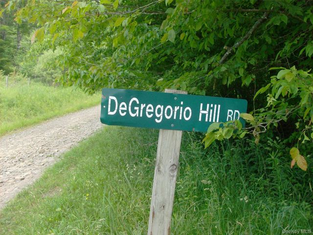 70 Bonnie Brook Road, Roscoe, NY 12776