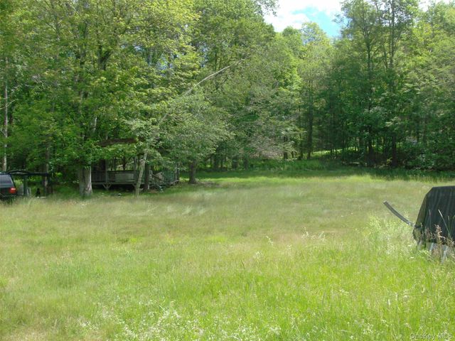 70 Bonnie Brook Road, Roscoe, NY 12776