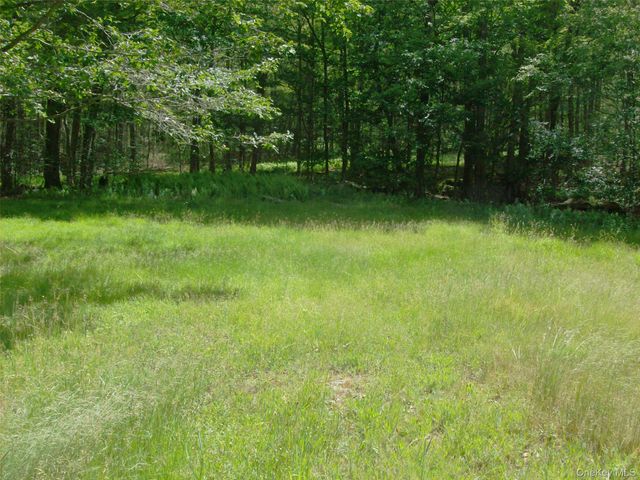70 Bonnie Brook Road, Roscoe, NY 12776