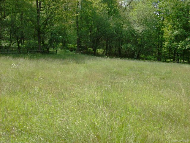 70 Bonnie Brook Road, Roscoe, NY 12776