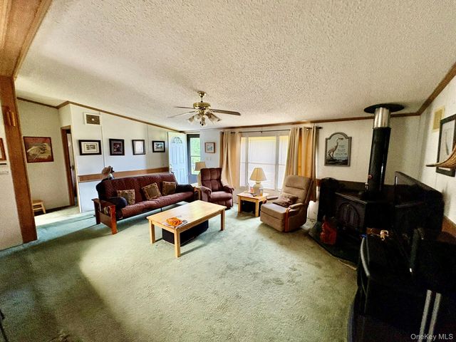 70 Bonnie Brook Road, Roscoe, NY 12776