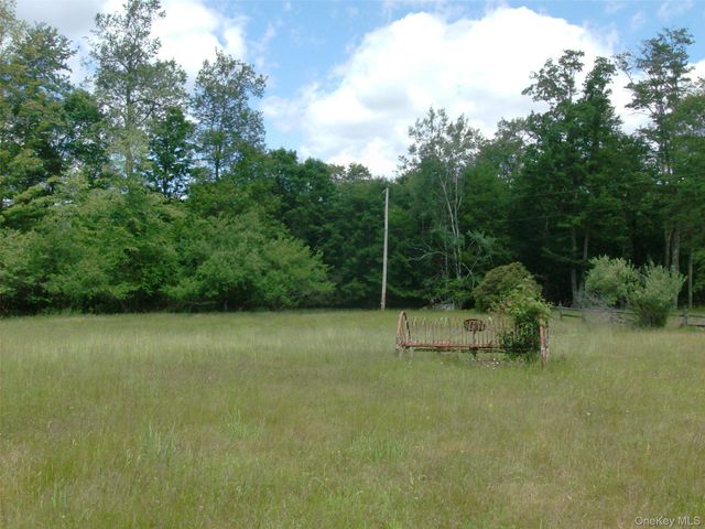 70 Bonnie Brook Road, Roscoe, NY 12776
