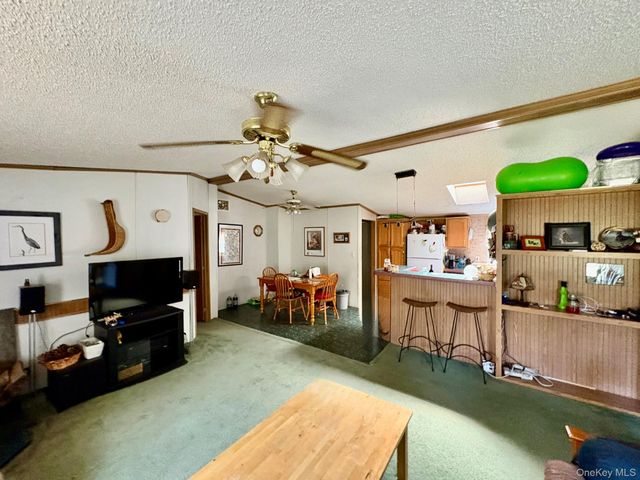 70 Bonnie Brook Road, Roscoe, NY 12776