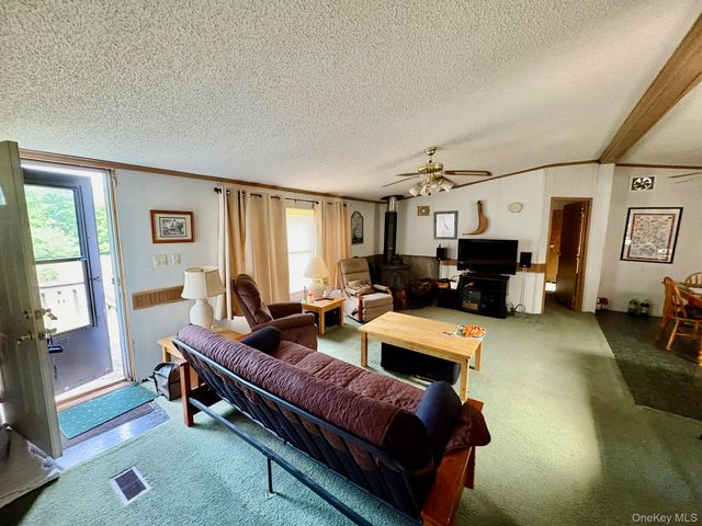 70 Bonnie Brook Road, Roscoe, NY 12776