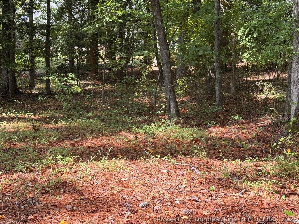 1532 DELAWARE Place, Sanford, NC 27332 — exterior
