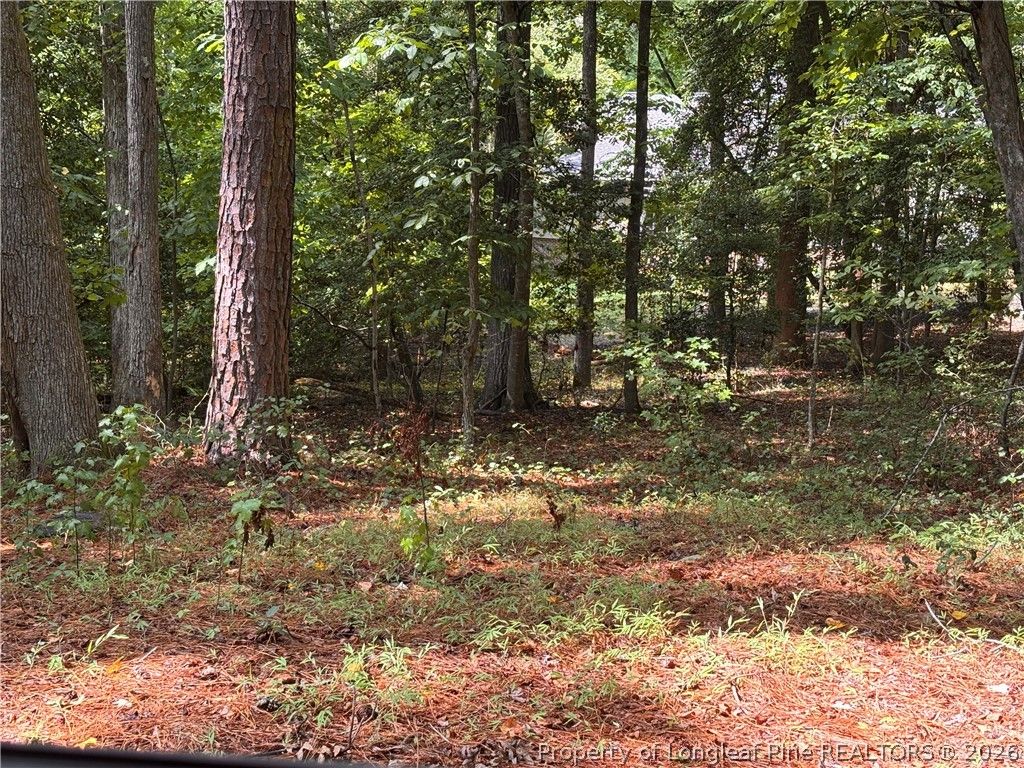 1532 DELAWARE Place, Sanford, NC 27332 — photo 2