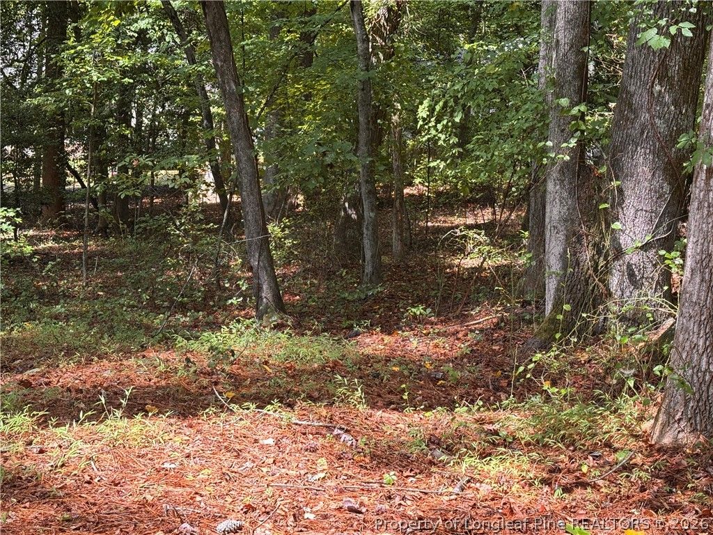1532 DELAWARE Place, Sanford, NC 27332 — photo 3