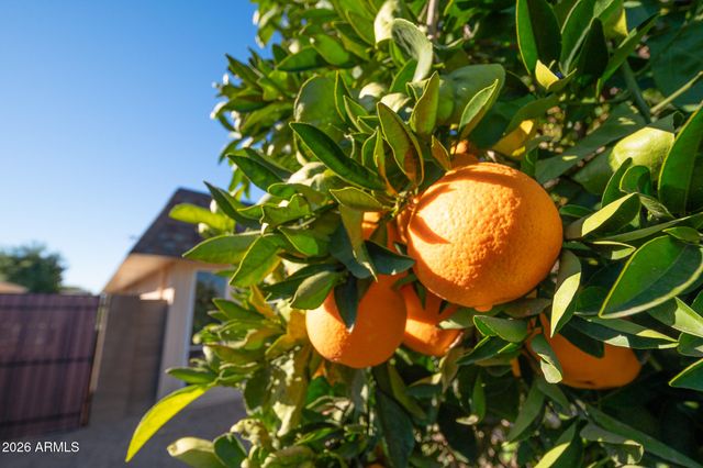 10004 W PLEASANT VALLEY Road, Sun City, AZ 85351