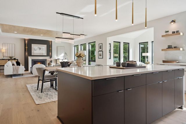 713 Ensconced Way, Chaska, MN 55318