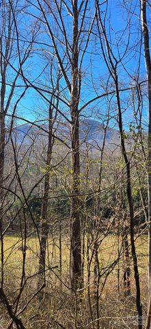 Lot 1 Turtle Rock Lane, Waynesville, NC 28785