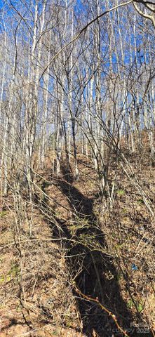 Lot 1 Turtle Rock Lane, Waynesville, NC 28785