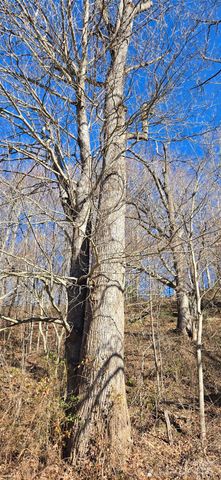 Lot 1 Turtle Rock Lane, Waynesville, NC 28785