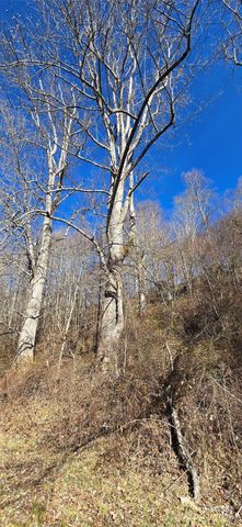 Lot 1 Turtle Rock Lane, Waynesville, NC 28785
