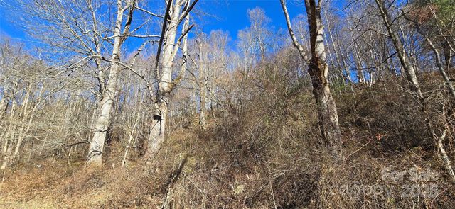 Lot 1 Turtle Rock Lane, Waynesville, NC 28785