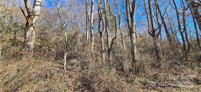 Lot 1 Turtle Rock Lane, Waynesville, NC 28785