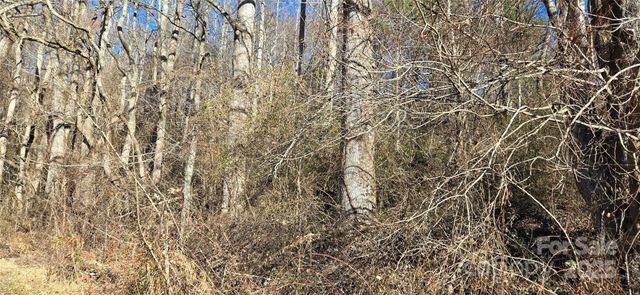 Lot 1 Turtle Rock Lane, Waynesville, NC 28785