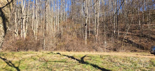 Lot 1 Turtle Rock Lane, Waynesville, NC 28785