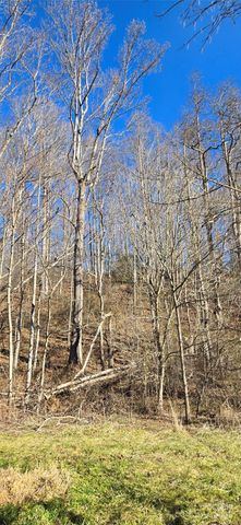 Lot 1 Turtle Rock Lane, Waynesville, NC 28785