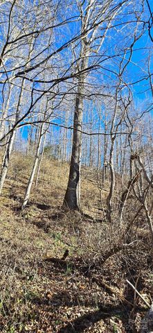 Lot 1 Turtle Rock Lane, Waynesville, NC 28785