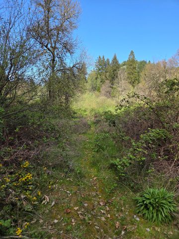 3760 Pleasant Creek Road, Rogue River, OR 97537