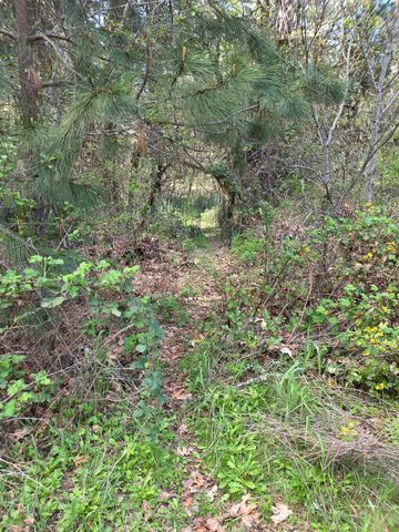 3760 Pleasant Creek Road, Rogue River, OR 97537