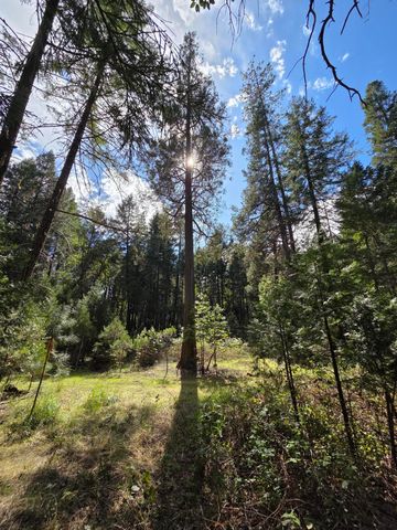 3760 Pleasant Creek Road, Rogue River, OR 97537