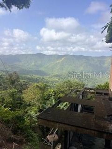 Jajome Alto JAJOME ALTO, Cayey, PR 00736