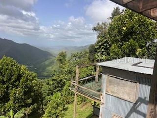 Jajome Alto JAJOME ALTO, Cayey, PR 00736