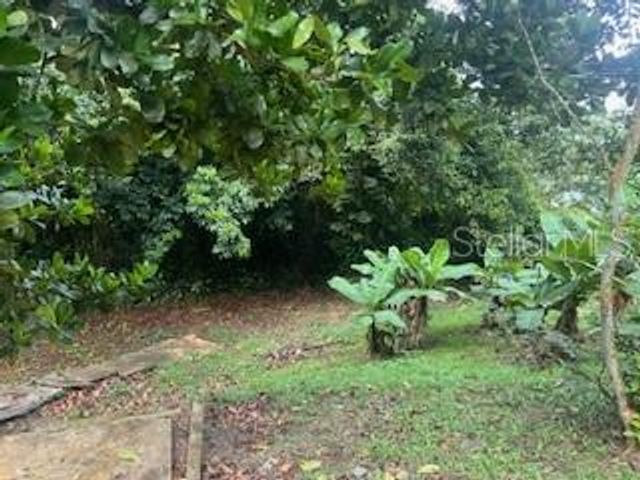 Jajome Alto JAJOME ALTO, Cayey, PR 00736