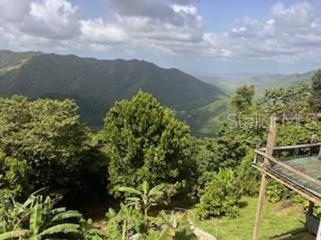 Jajome Alto JAJOME ALTO, Cayey, PR 00736