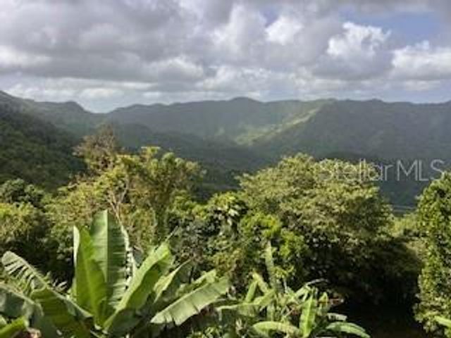 Jajome Alto JAJOME ALTO, Cayey, PR 00736